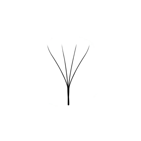 W4 0.07 Lashes