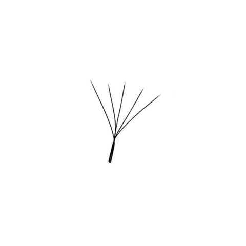 W5 0.07 Lashes