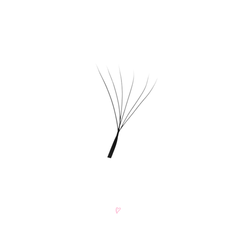 W6 0.07 volume lashes CC curl - premade 6-tip lash fans for professional lash artists