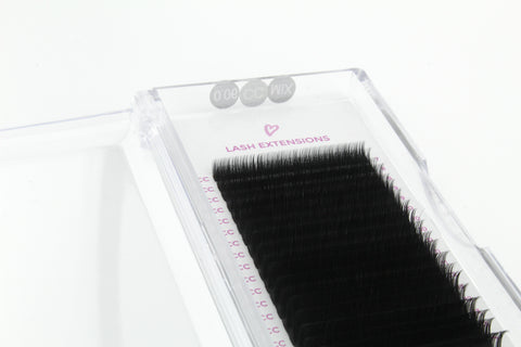 Volume Lashes